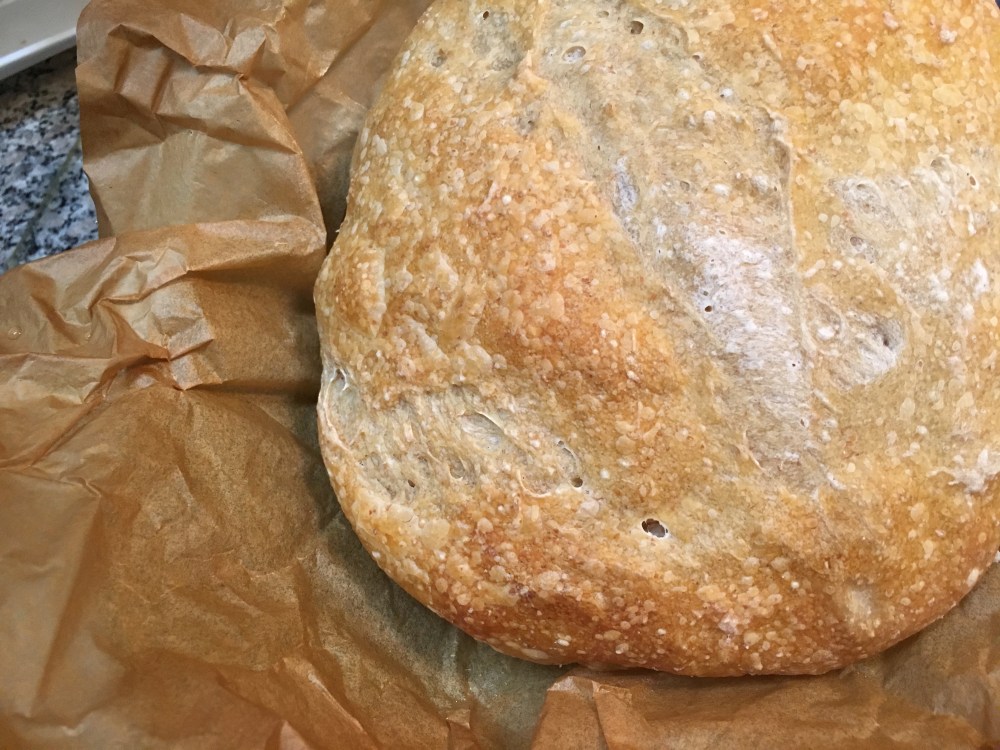 First Sourdough Loaf 2/26/18